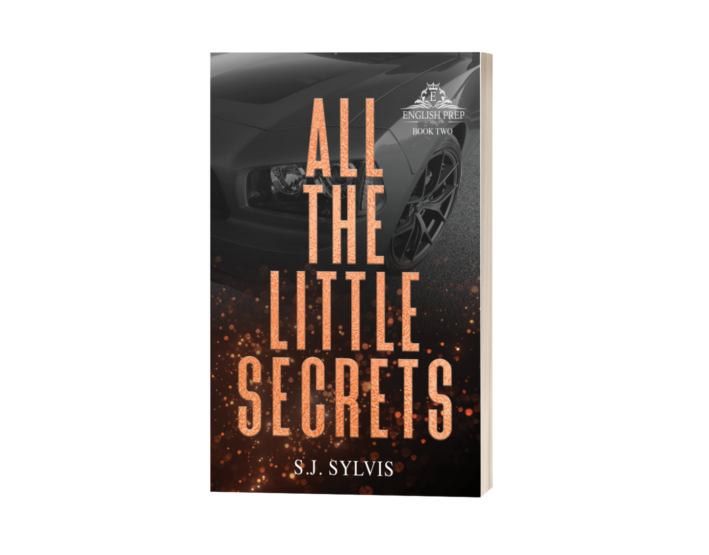 All the Little Secrets by SJ Sylvis - Special Edition Signed Copy
